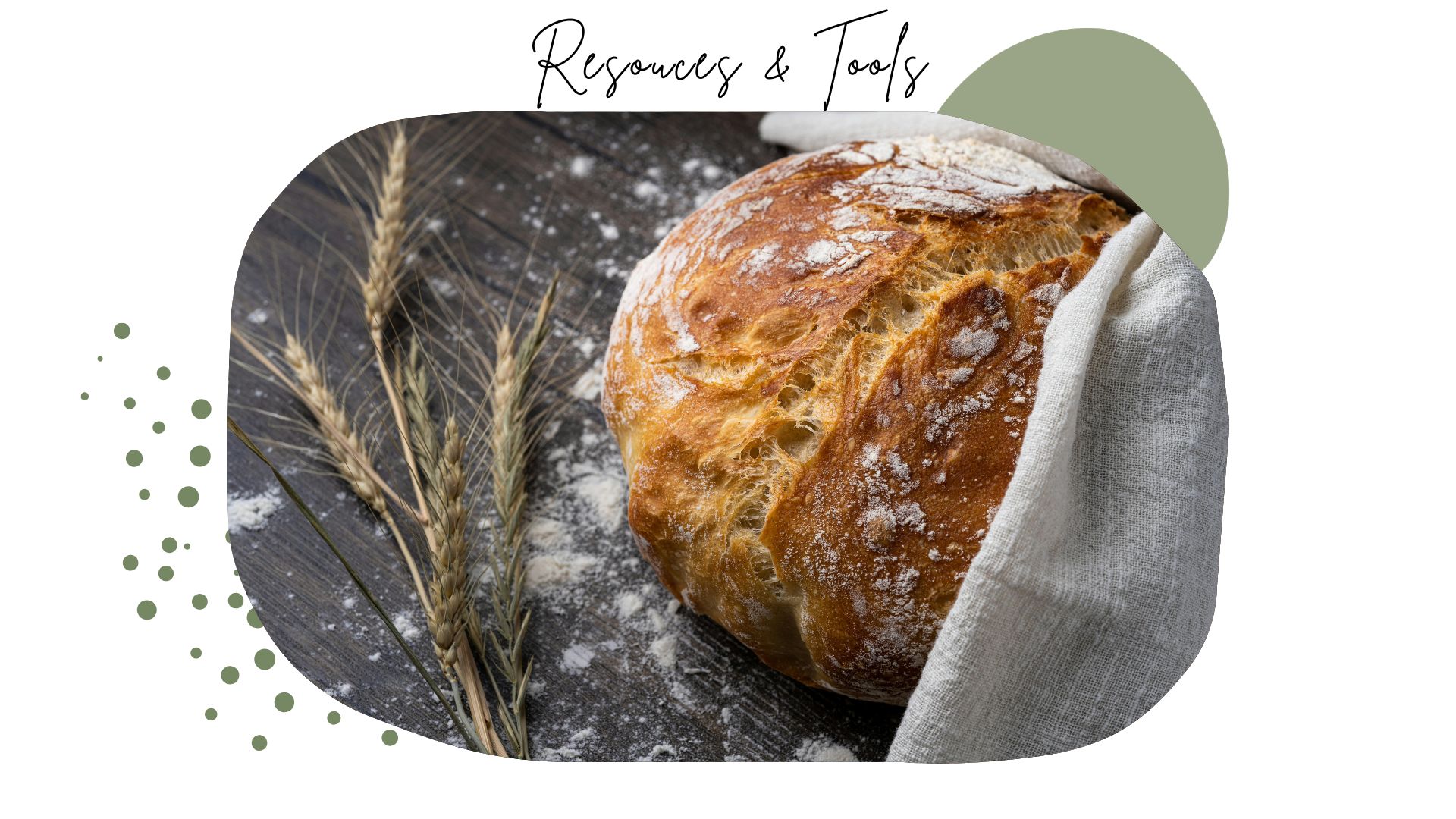 Start Your Food Business